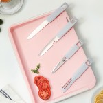 多功能雙面砧板含水果刀、鋸齒刀、輔食剪、水果刨刀等四個(gè)配件